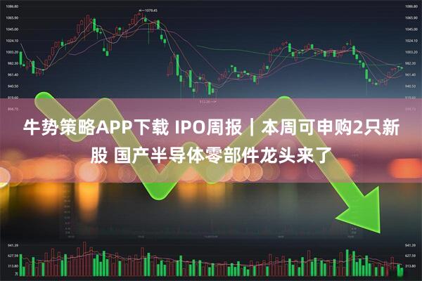 牛势策略APP下载 IPO周报｜本周可申购2只新股 国产半导体零部件龙头来了