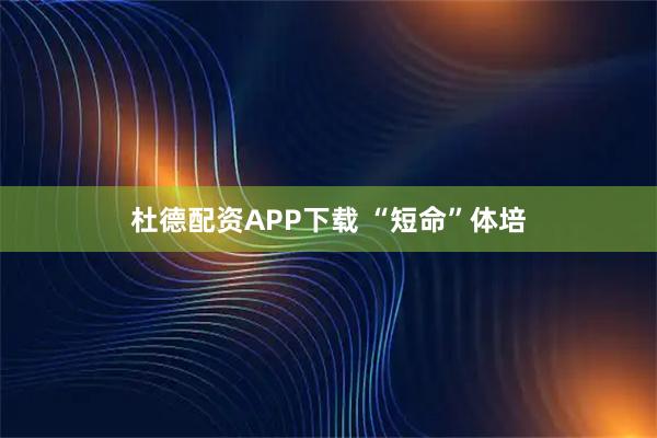 杜德配资APP下载 “短命”体培