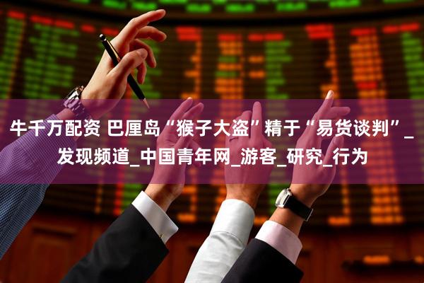 牛千万配资 巴厘岛“猴子大盗”精于“易货谈判”_发现频道_中国青年网_游客_研究_行为