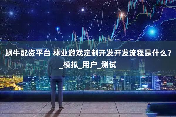 蜗牛配资平台 林业游戏定制开发开发流程是什么？_模拟_用户_测试