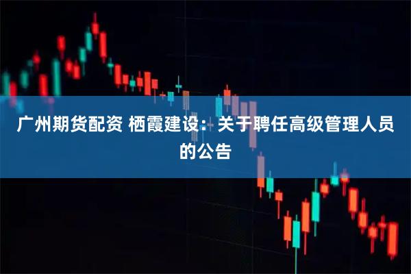 广州期货配资 栖霞建设：关于聘任高级管理人员的公告